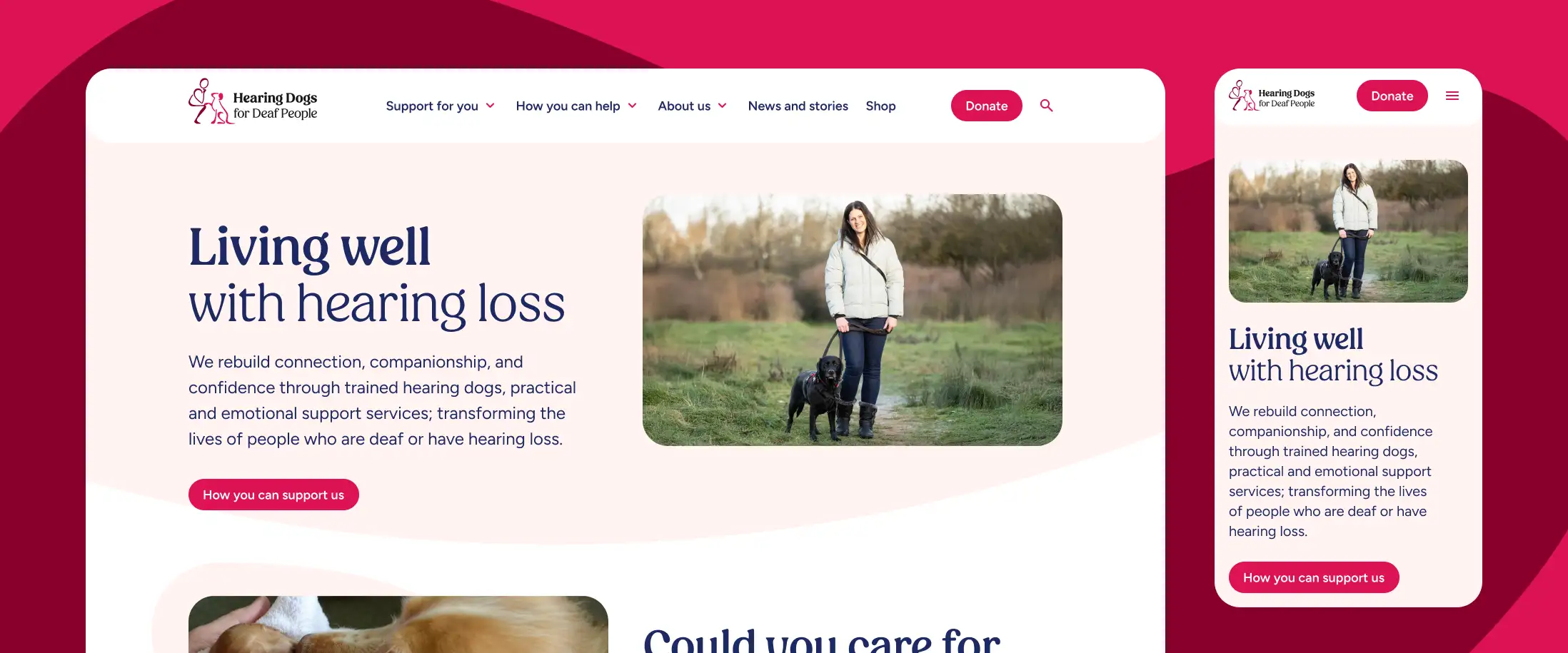 The Hearing Dogs for Deaf People home page shows a picture of a golden retriever with its face close to a new born puppy next to a headline reading 'Living well with hearing loss'